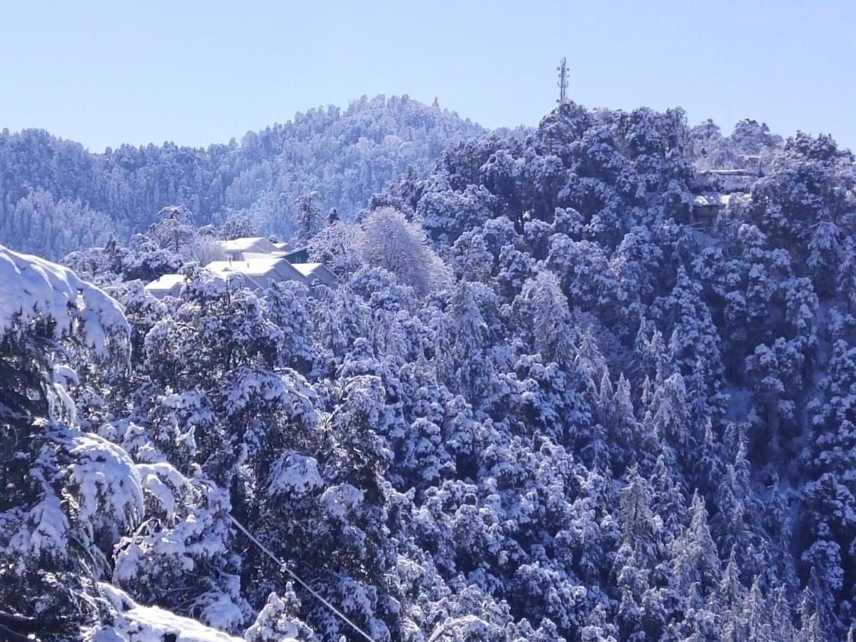 Dhanlaxmi Apartments Shimla Zewnętrze zdjęcie